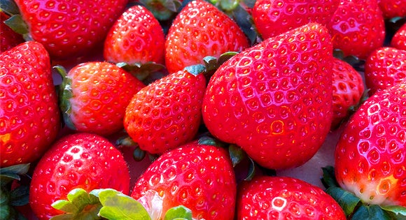 <新宿発・西船橋発> たっぷり2時間滞在! あしかがフラワーパーク幻想的なライトアップ 奇蹟の大藤&白藤トンネル と 栃木の人気ブランドいちご狩り そして、20種類のスイーツビュッフェで優雅なティータイム♪2